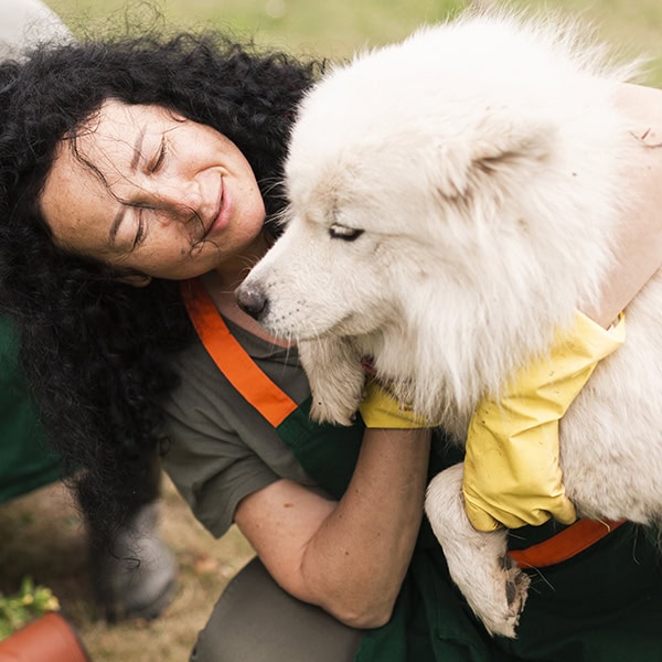 Tierheimsponsoring als Lösung für Versorgungslücken im Tierschutzsystem