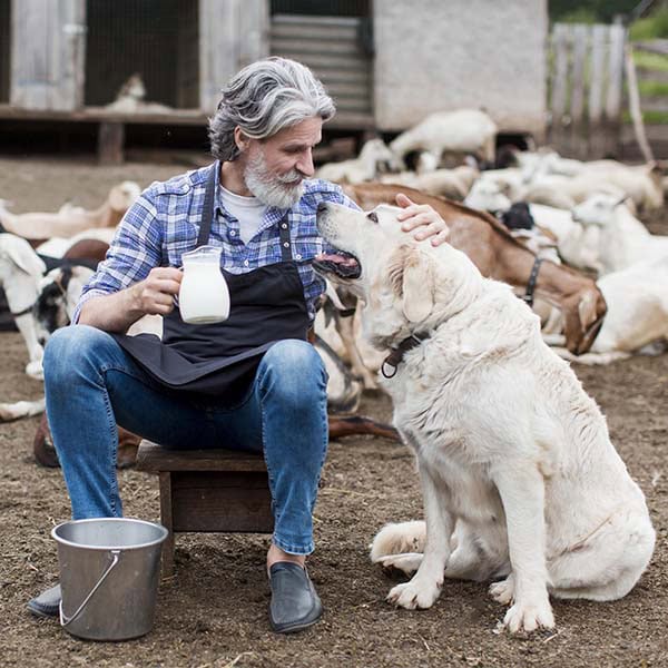 Tierheimsponsoring als Lösung für Versorgungslücken im Tierschutzsystem